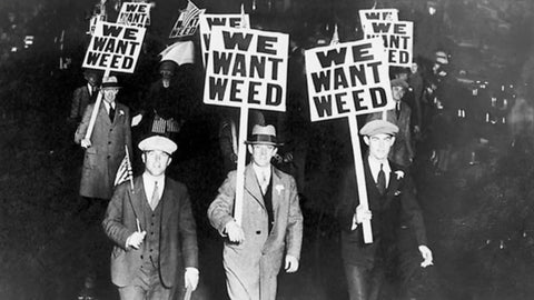 Rok 2026: Česko legalizovalo konopí. Co to znamená pro tebe?