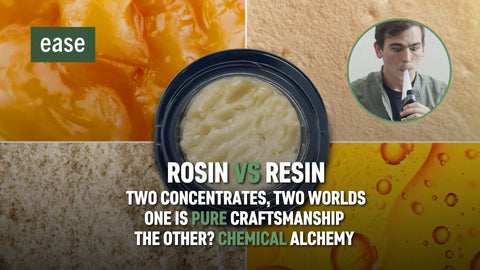 Rosin vs Resin: Jaký je skutečný rozdíl mezi těmito konopnými koncentráty?